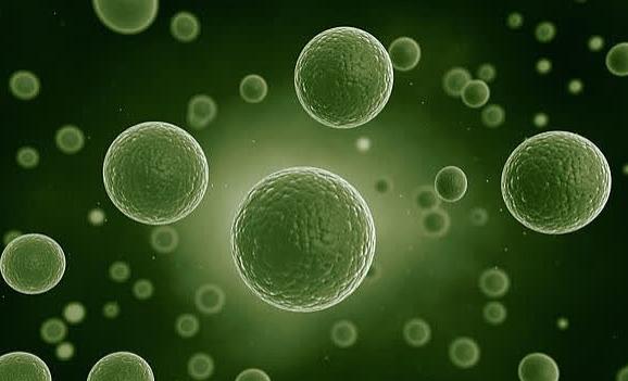 脂质体：药物递送的“特种兵”，它的制备方式你掌握了吗？