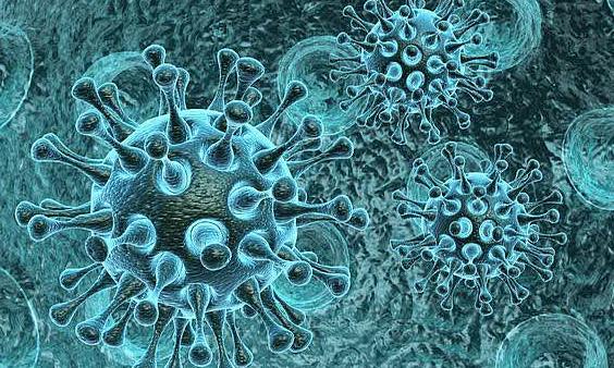探寻结构生物学的真相