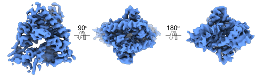 冷冻电镜Cryo-EM：解析生命分子奥秘的尖端技术