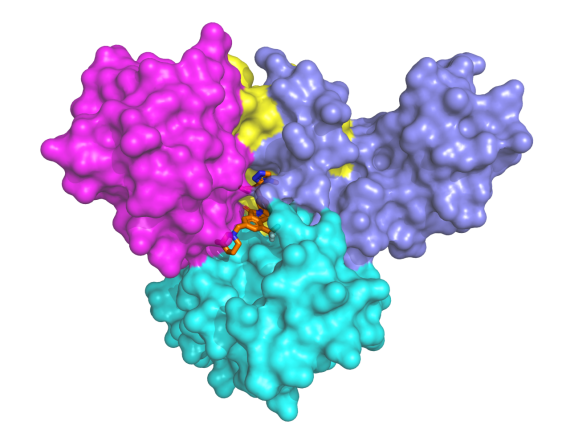 冷冻电镜：微观世界的精准解码者