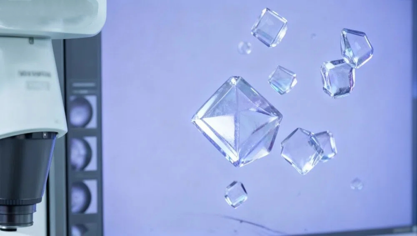 高质量蛋白结晶：生物医药研发的“关键拼图”