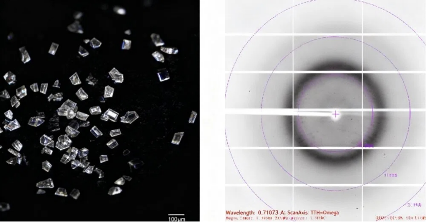 X射线衍射分析：解锁固态物质微观结构的核心技术