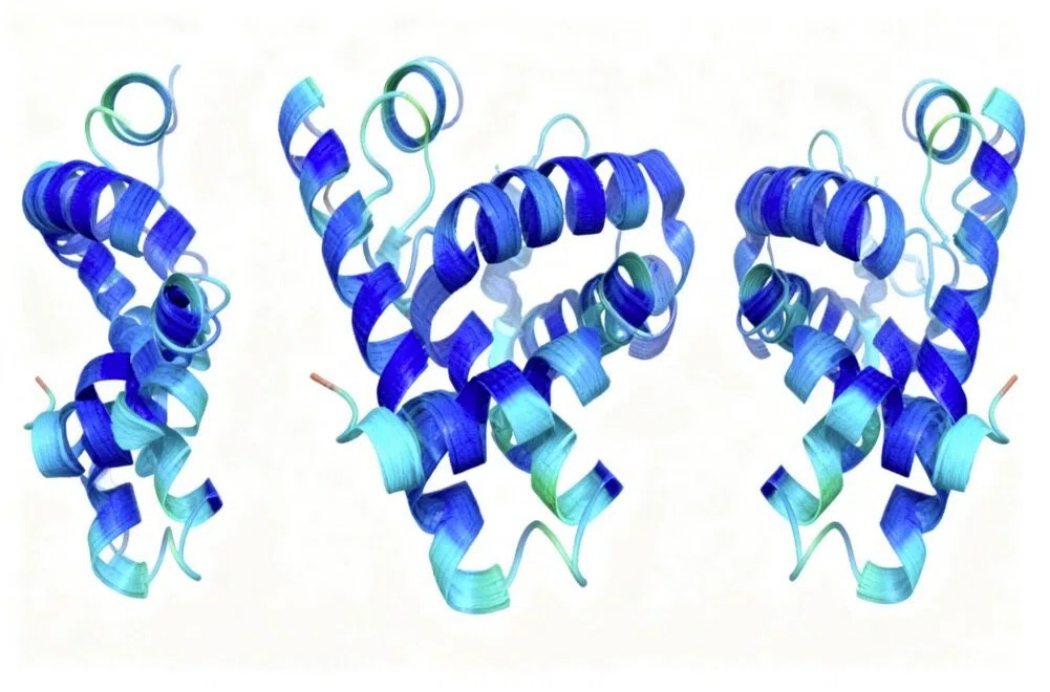 多技术融合下的蛋白结构表征：高效解析与全场景应用