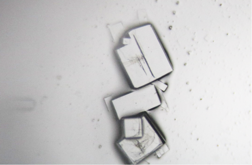 晶型检测：药物研发与质量控制的核心保障