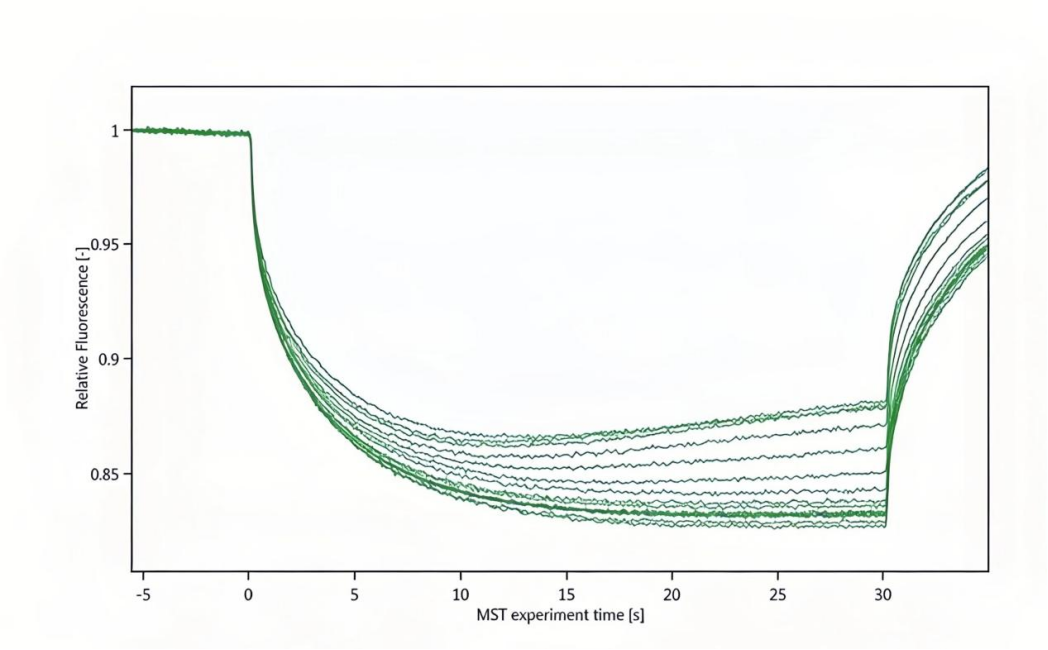 MST检测：解锁生物分子互作研究的高效技术手段