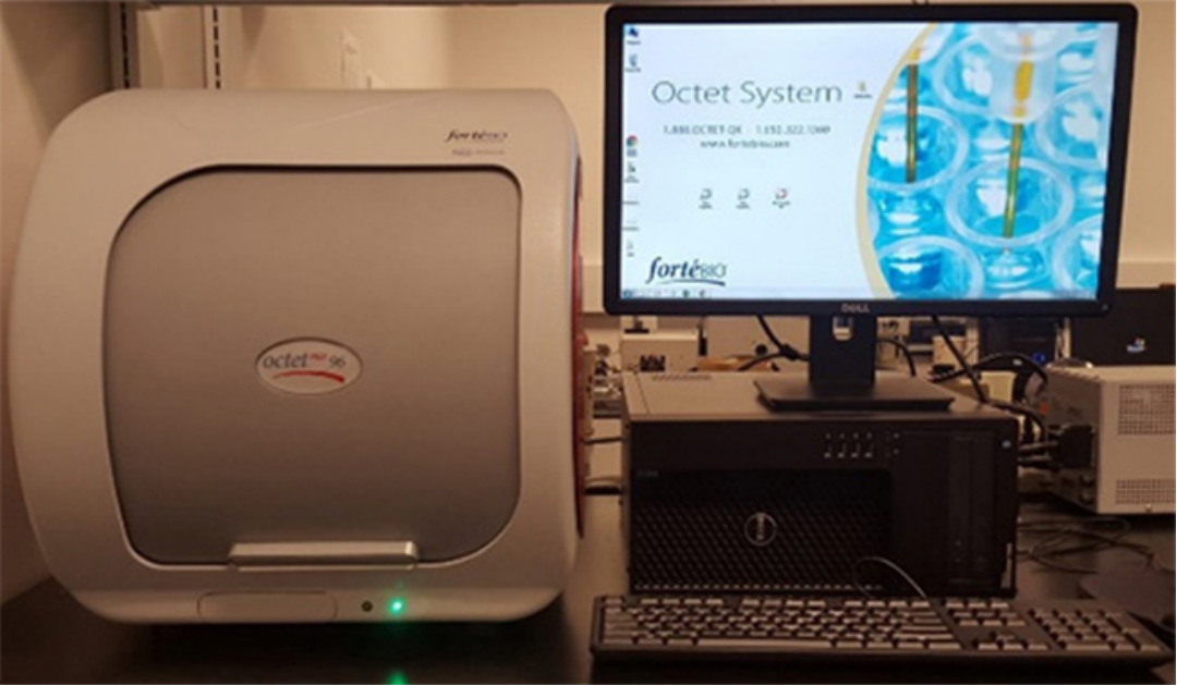 分子互作检测新利器：BLI检测技术的特性与应用