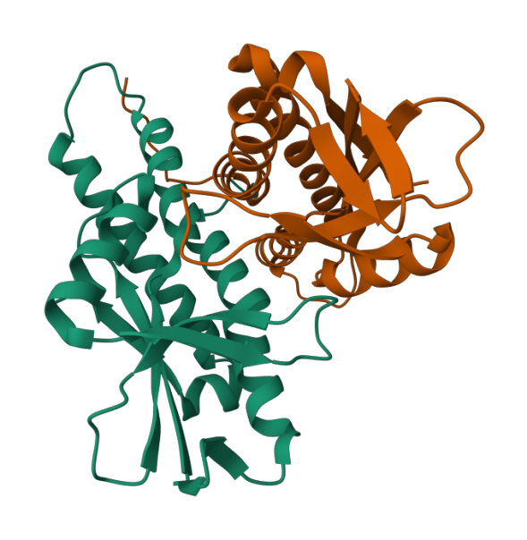 结构生物学公司：解码生物大分子的科研领航者