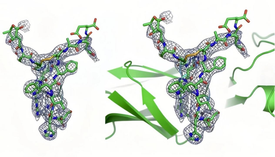 微晶电子衍射:结构生物学领域的革命性技术突破