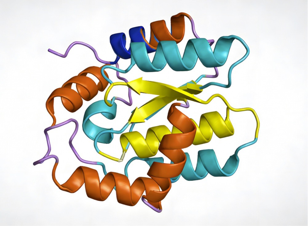 解析蛋白空间结构:开启生物大分子研究新维度