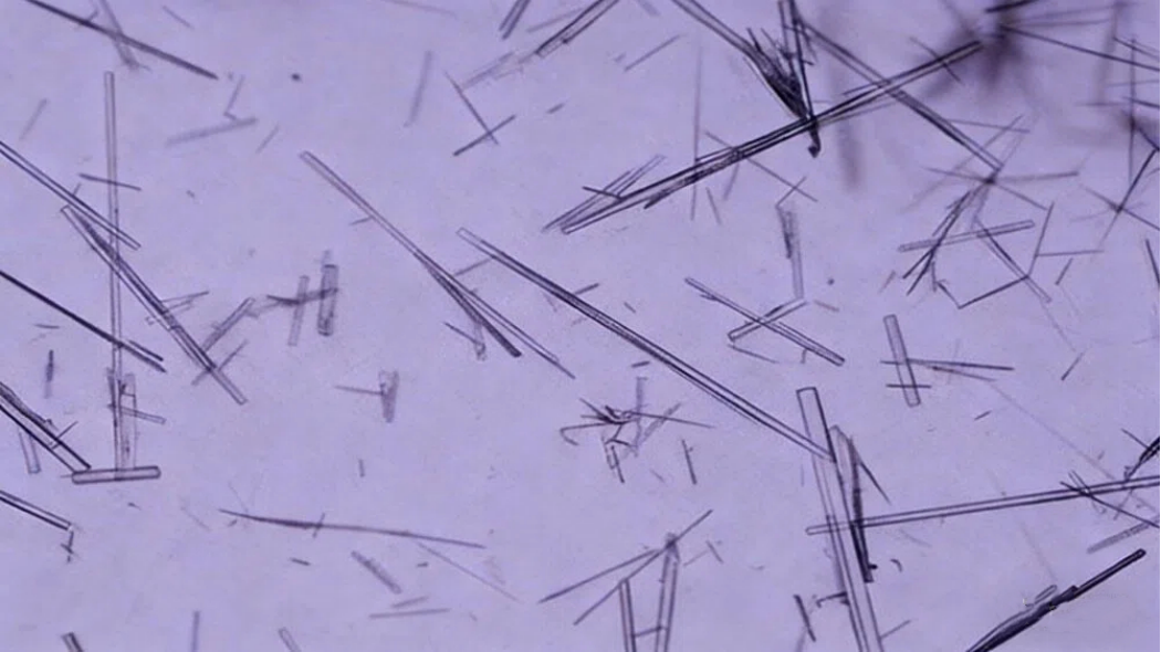 聚焦结晶工艺开发，解锁药物晶体高质量密码