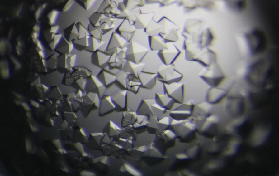 从游离碱到优势形态：青云瑞晶创新药晶型筛选的核心逻辑与实践